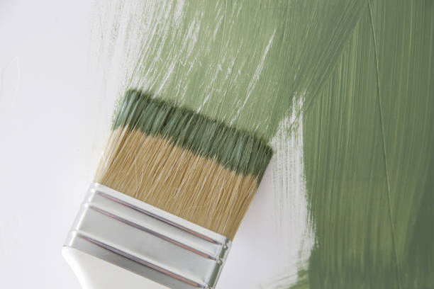 Best Mold Damage Restoration  in Magnolia, AR