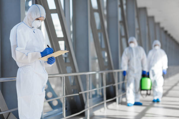 Best Mold Removal for HVAC Installations  in Magnolia, AR